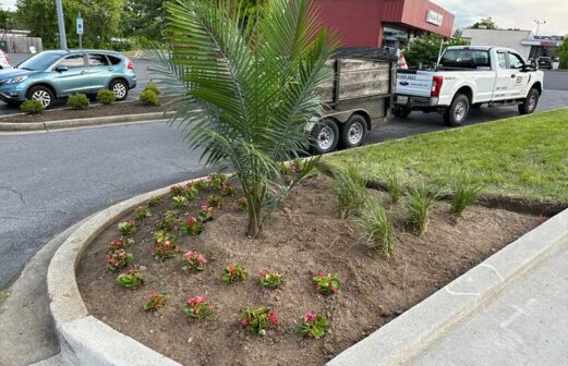 commercial landscape design