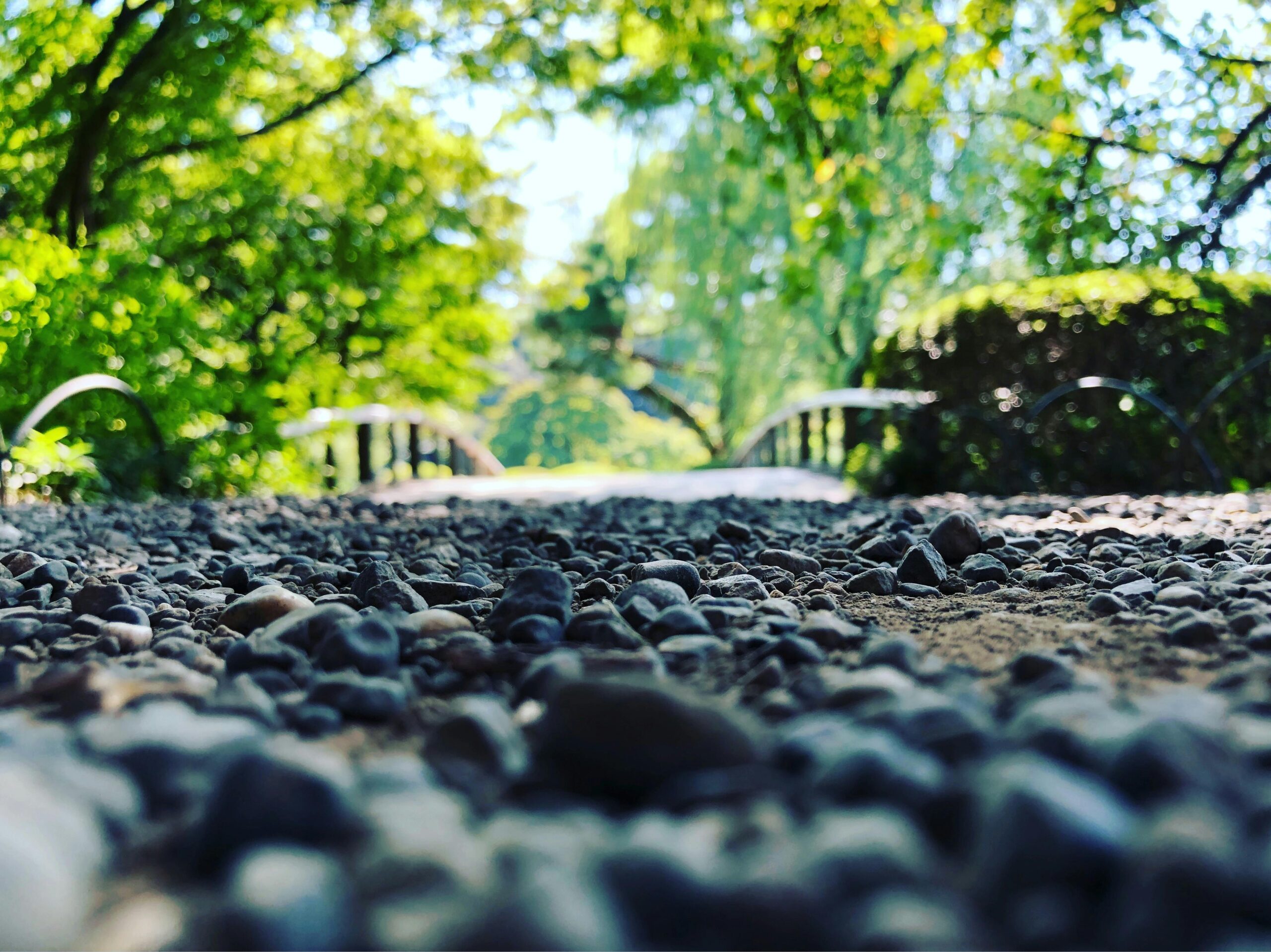 pexels 592602 1371239 scaled Landscape