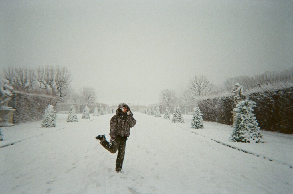 pexels codywhear 24259679