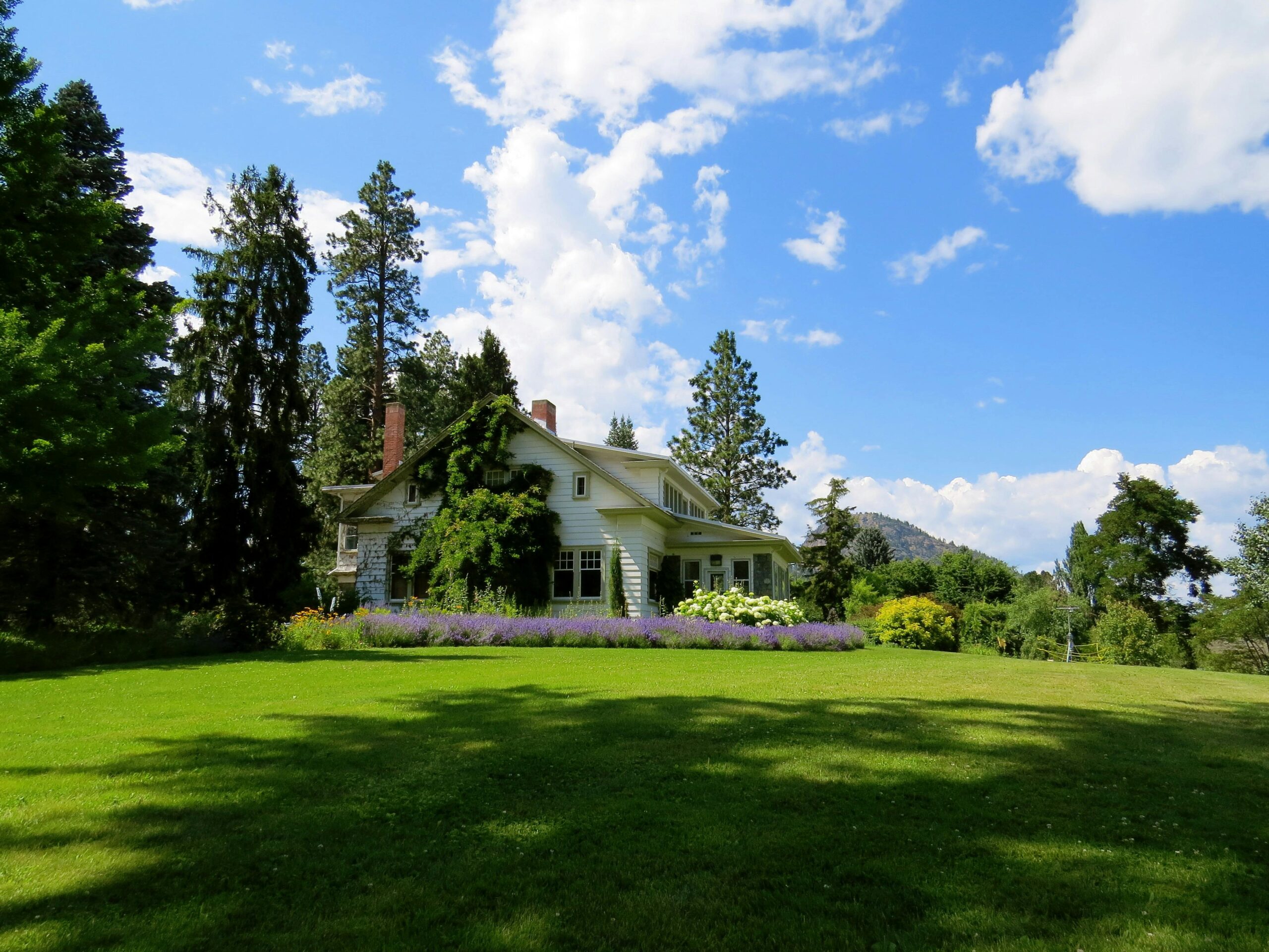 pexels dianne 60973 226407 scaled Lawn Care