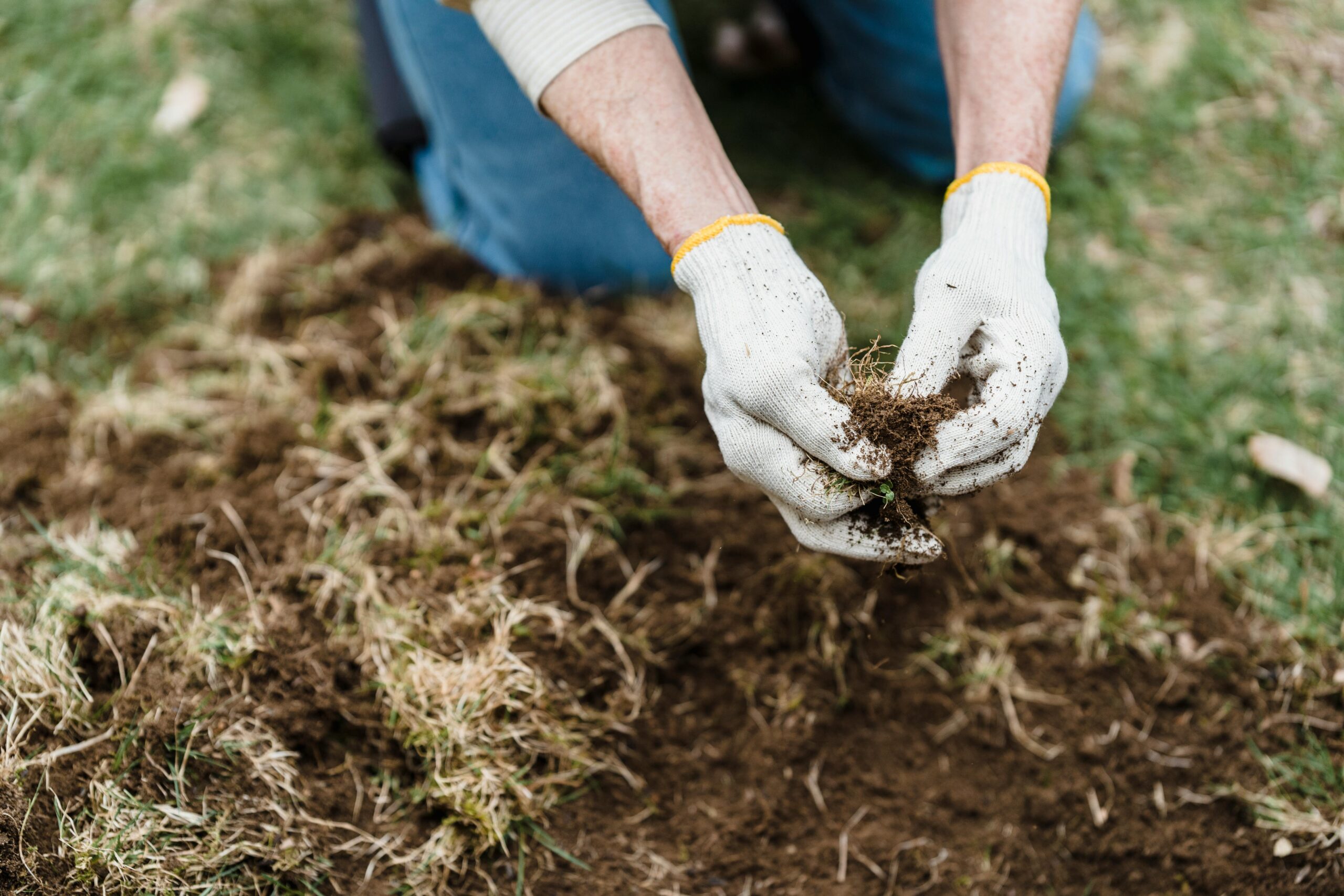 Aerating and Seeding: Preparing Your Lawn for a Healthy Winter Rest