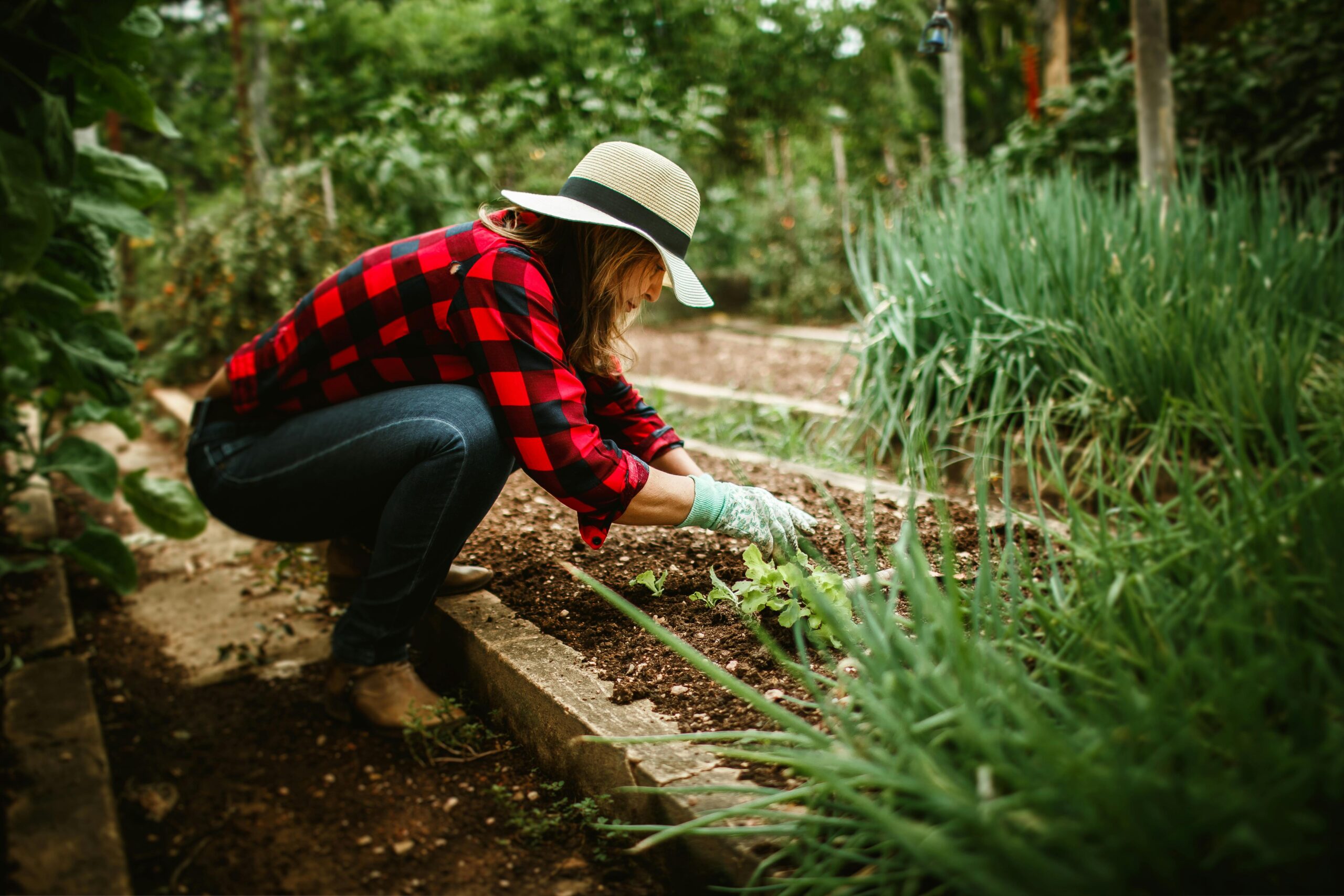 pexels helenalopes 27176057 scaled Seeding