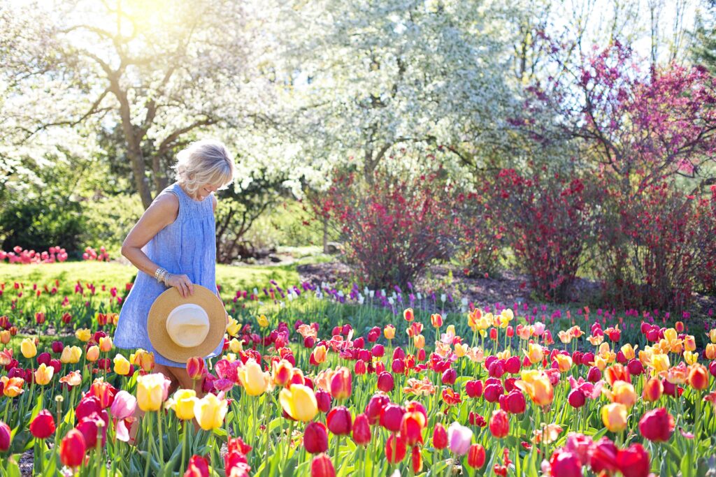 pexels jill wellington 1638660 413735 Lawn and Garden