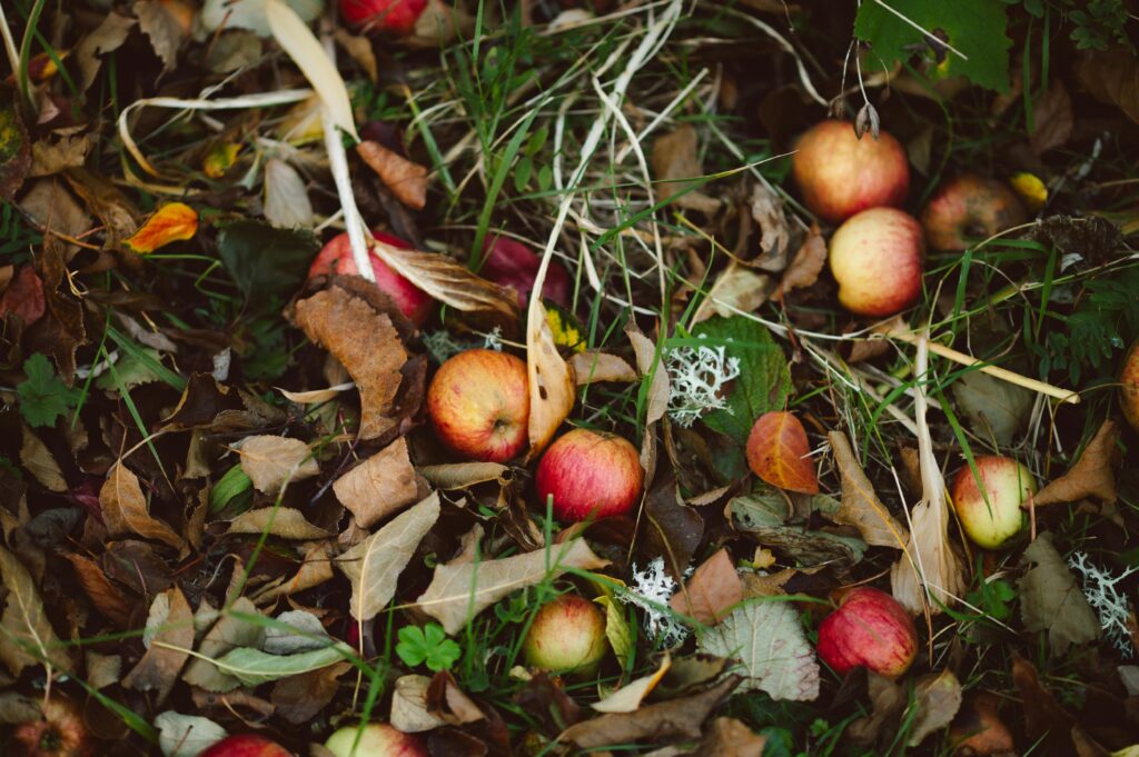 pexels jillyjillystudio 34282666 pexels jillyjillystudio 34282666