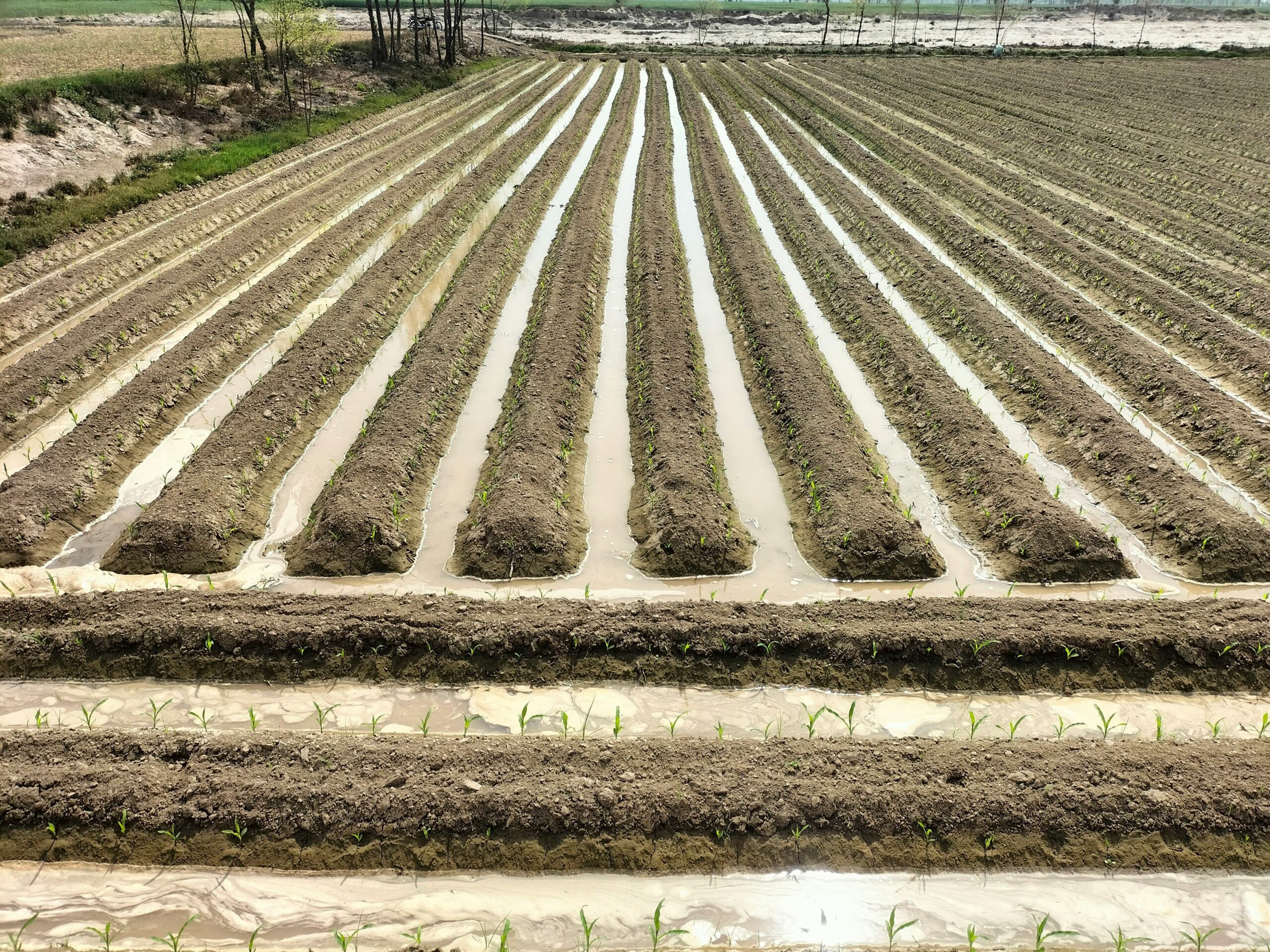 pexels kashif ali 521330007 16326244 scaled Irrigation and Drainage