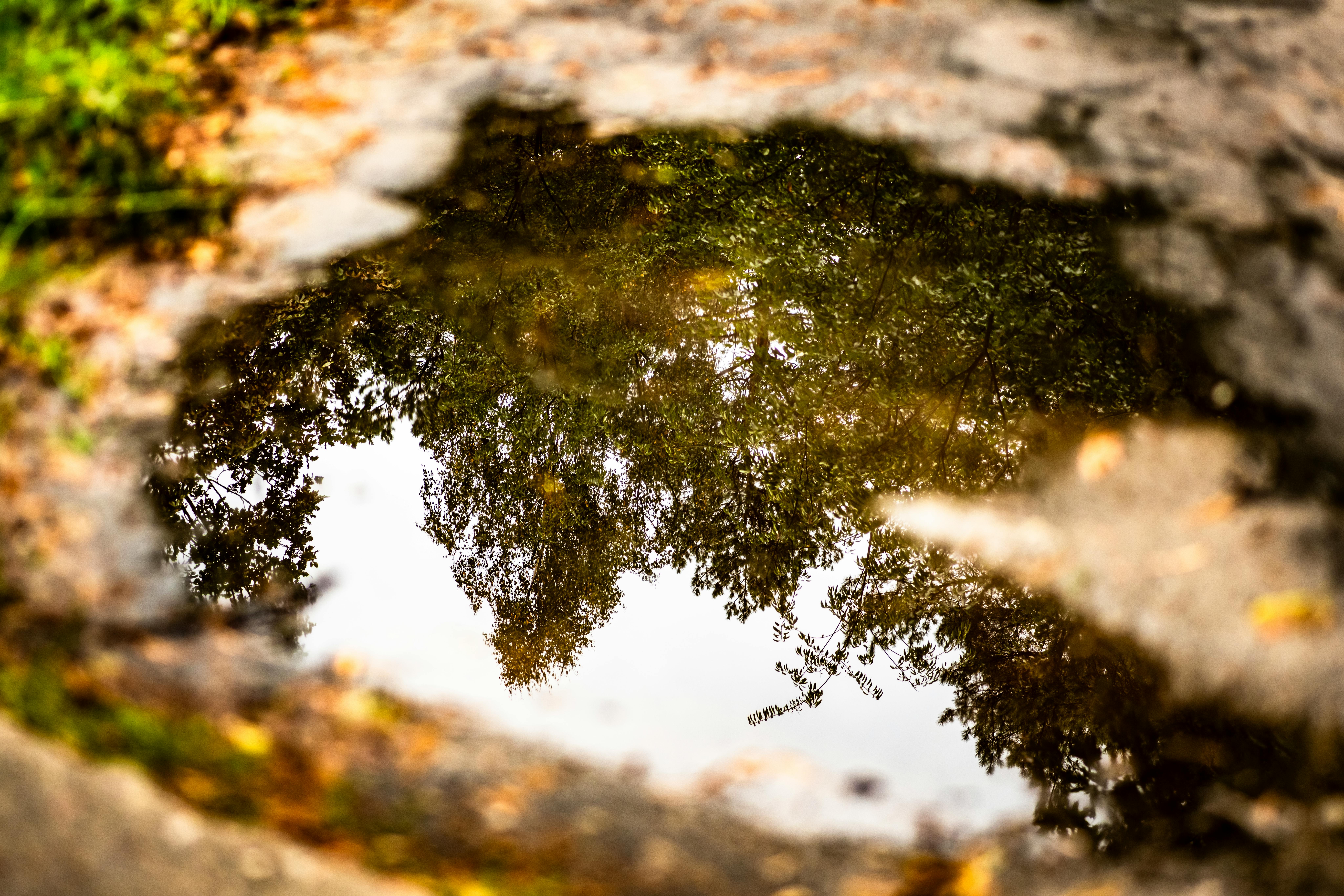 pexels krzysztof jaworski fotografia 1445518005 30313007 Irrigation and Drainage