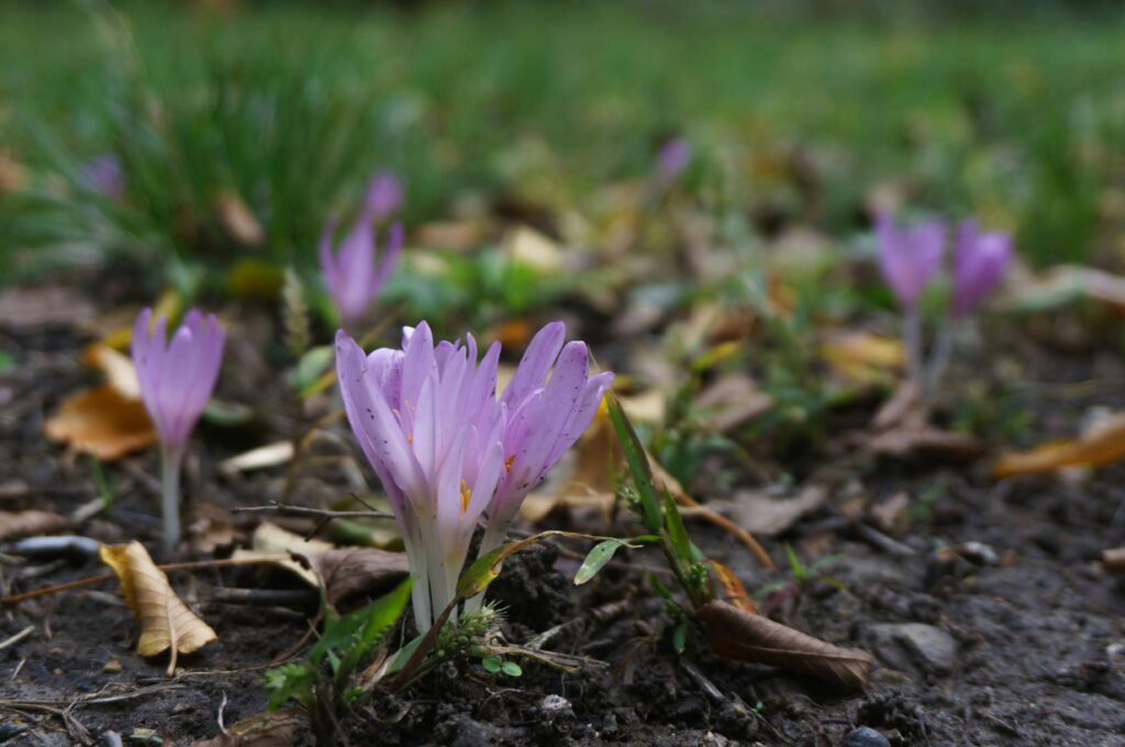 pexels maksim zaviktorin 907965128 34673510 pexels maksim zaviktorin 907965128 34673510