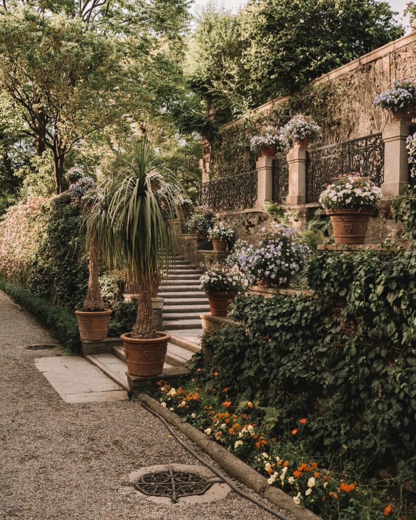 pexels mikitayo 18156172 Durability