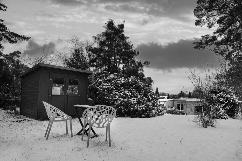 pexels paparazziratzfatzzi 20091832 Garden Care