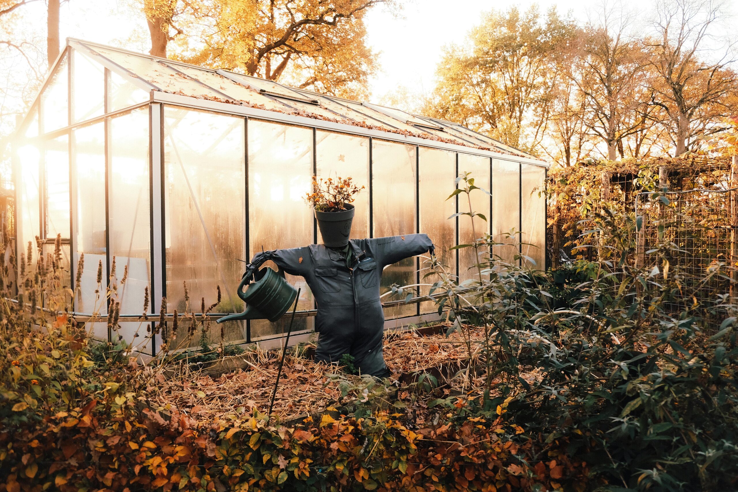 pexels stefan maritz 1452486 34664677 scaled Cleanup