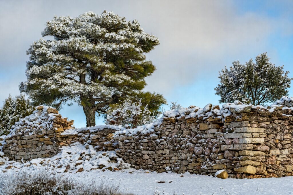 pexels thales13 22809271 Outdoor